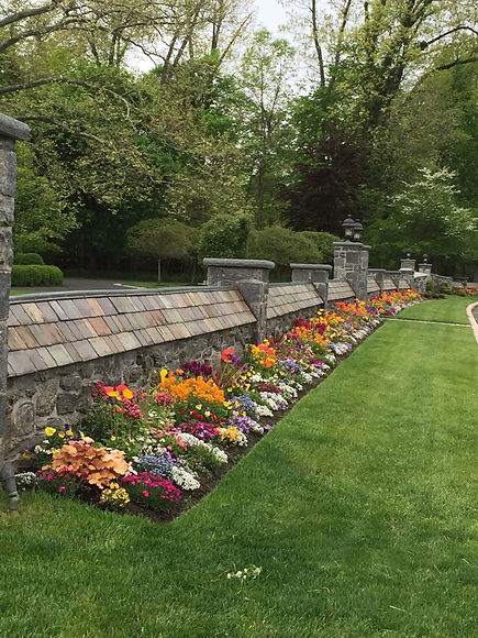 Smith spring wall pic.JPG