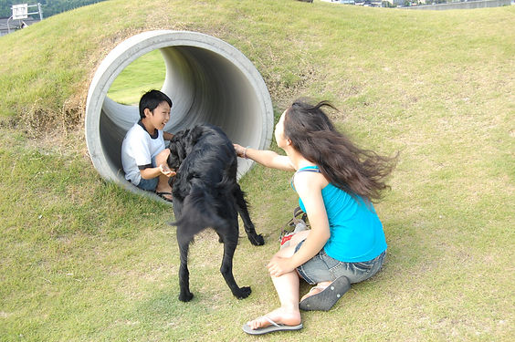 愛犬,犬,散歩,子ども,危険,危ない,子どもと犬だけの散歩