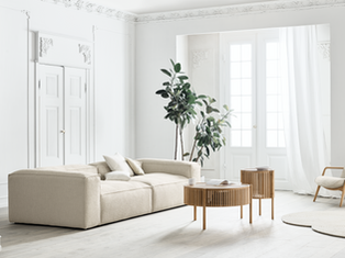 Luksuzna sofa priznanih blagovnih znamk, ki združuje estetiko in funkcionalnost.