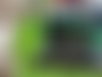 How to Build a Bulletproof Lawn in the West Island Climate