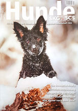 Brigitte Marty Hundefotografin Schweiz