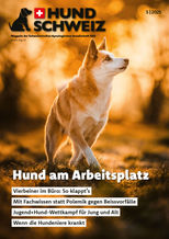 Brigitte Marty Hundefotografin Schweiz