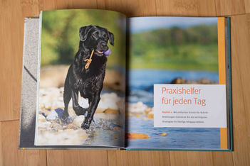 Brigitte Marty Hundefotografin Schweiz