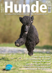 Brigitte Marty Hundefotografin Schweiz