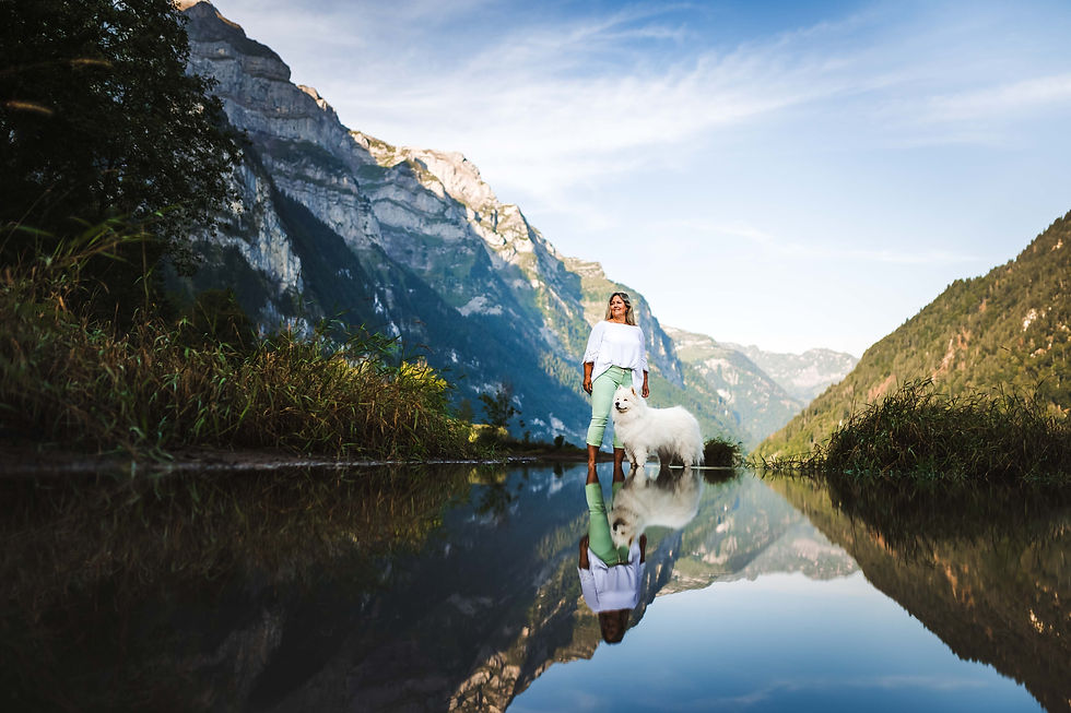 hundefotoshooting-schweiz.jpg