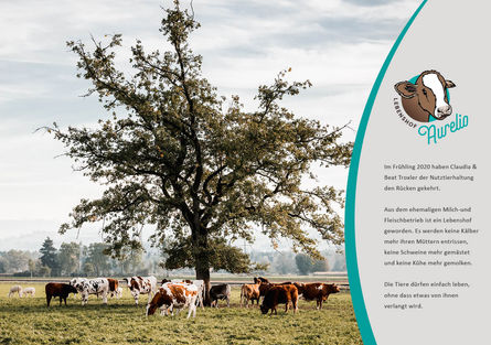 Flyer Aurelio_A5.jpg