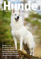 Titel_Hunde_05_2015.jpg