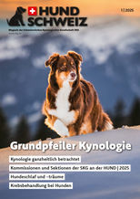 Brigitte Marty Hundefotografin Schweiz