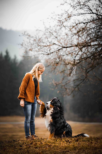 Hundefotografie_41.jpg