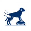 Physiotherapie-ohnehg-1.png