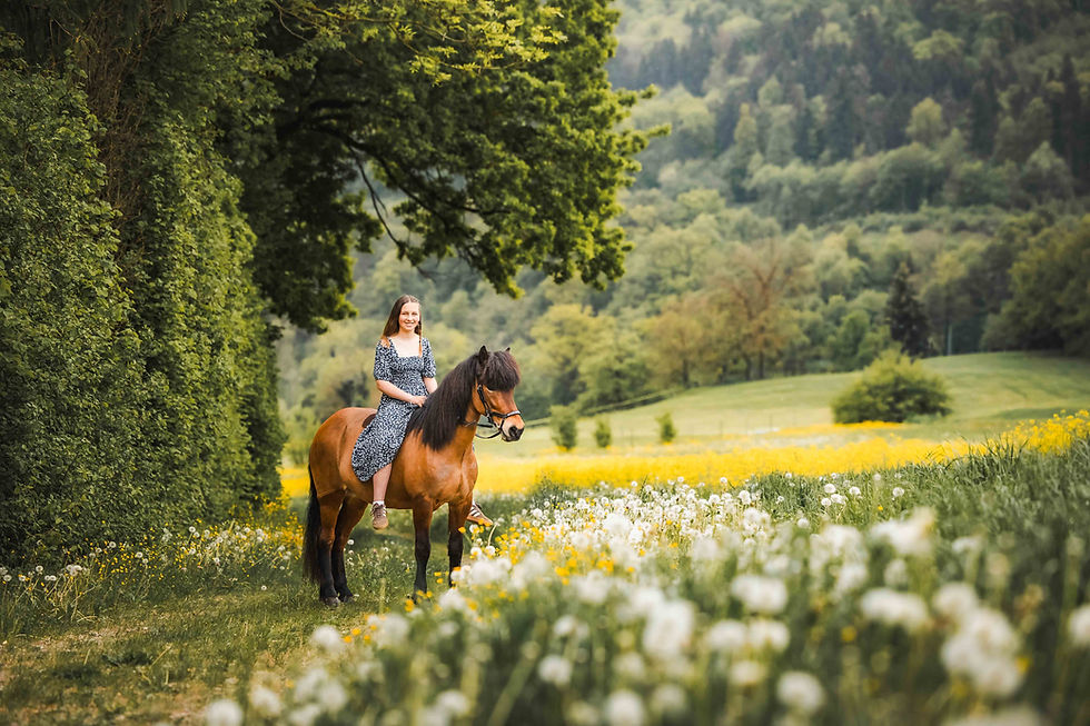 Pferdefotoshooting Zürich Glarus Zug Luzern Schwyz