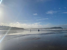 IMG_2316.jpeg