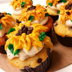 Introducing_ _Van Gogh Cookie Dough__Chocolate chip cupcakes with chocolate chip cookie dough frosti