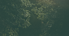 Banner-Section.png