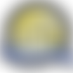 home inspection, home inspection service, home inspection near us, full home inspection, home inspection inclusion, first class home inspections