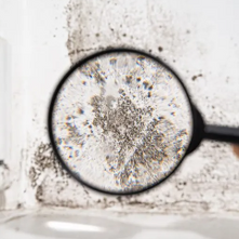 Home inspector collecting air quality sample for mold testing in Pittsburgh PA basement