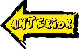 ANTERIOR 2.png