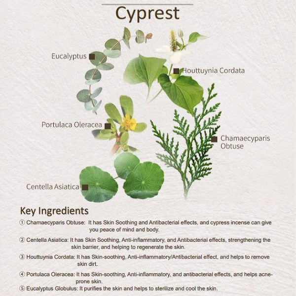 Thumbnail: Tage  Calming Toner in Cyprest 100ml