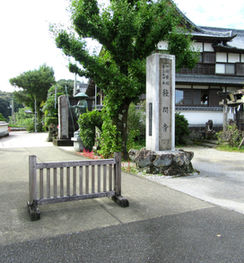 種間寺_edited.jpg