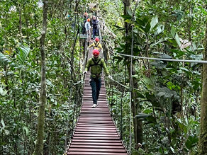 Playing Tarzan and Superman in the Rainforest