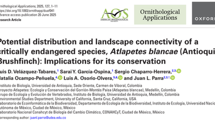 Undergrad-led paper about Atlapetes blancae habitat connectivity