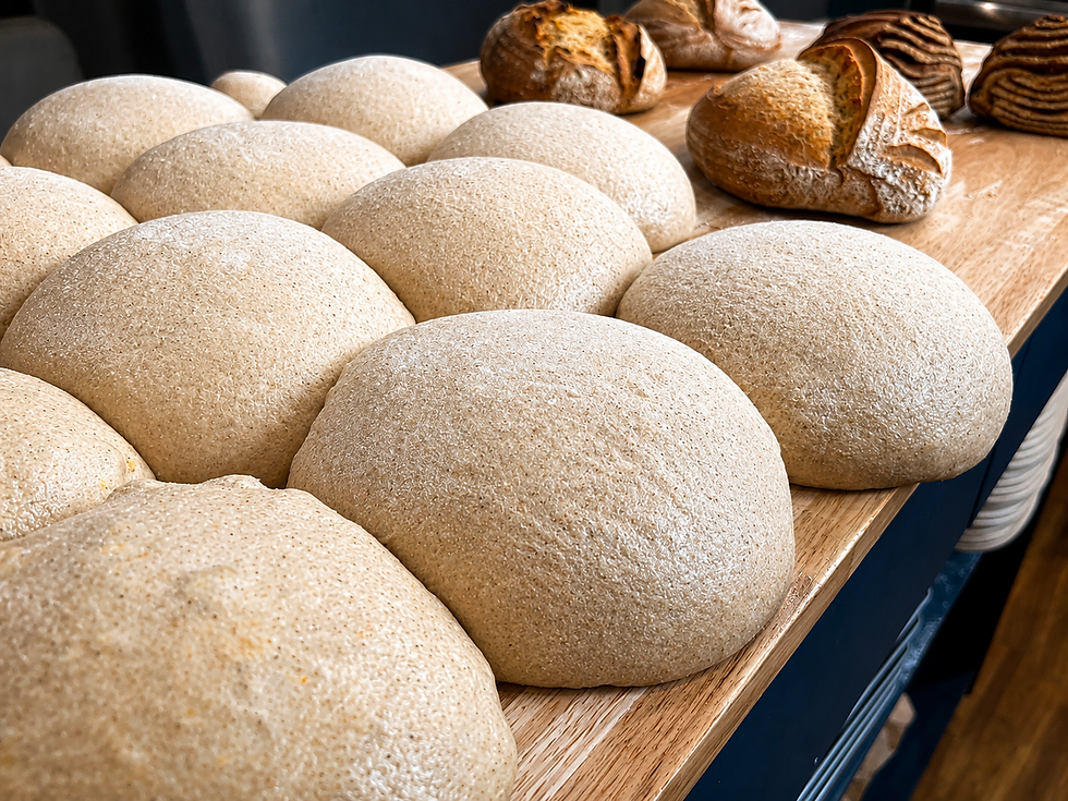 Why Fermentation Matters In Bread