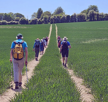 Festival-2026-Walking.jpg