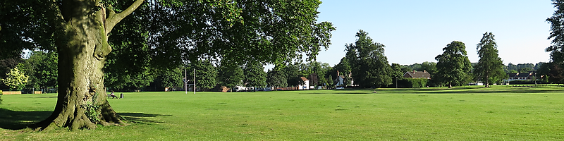 Alton-Green-Field-Header.png