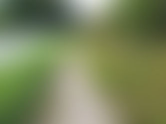 Cycle Alton response to the consultation on land North-West of Ackender Wood