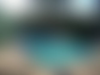 Comment intégrer une piscine dans un jardin méditerranéen