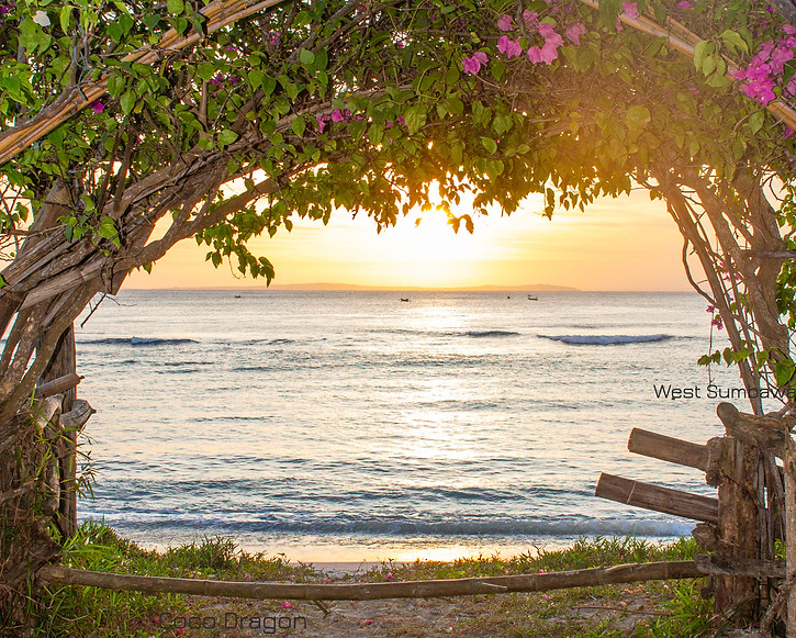 West sumbawa beach _edited.jpg