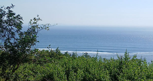 vie land for sale in west sumbawa sea scar reef wave color green and blue