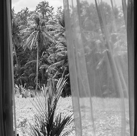 hotel in ubud