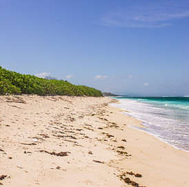 virgin beach in tropical west sumbawa