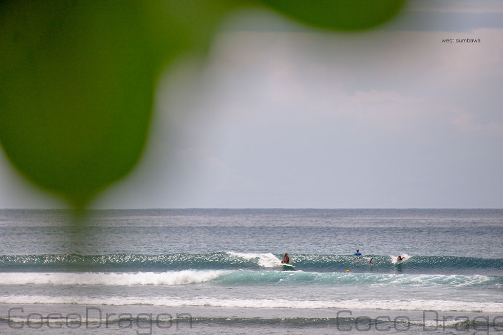 Tropical left Paradise in west sumbawa