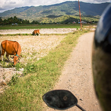 riding motorbike in sumbawa