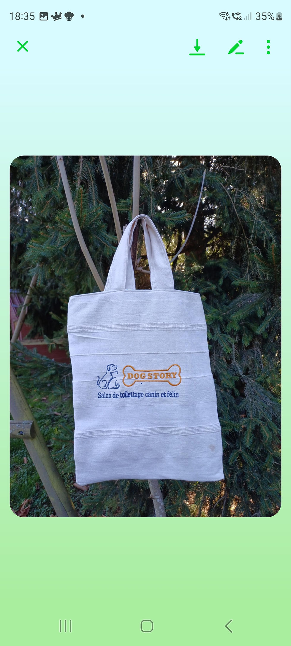 Miniature : Tote bag 