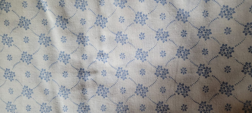 Tissu blanc à fleurs bleues