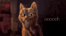 gato-ohh.gif