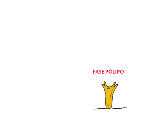 unnamed.gif
