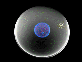 giphy.gif