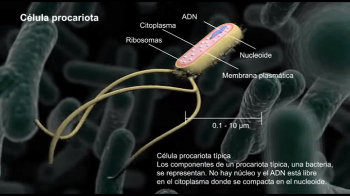 o4Uca9.gif