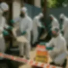 Urban Home with Plants