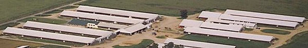 farm23a.jpg