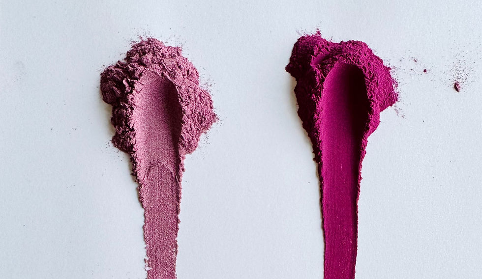 violettes Ube Pulver und lila Süßkartoffelpulver auf weißem Untergrund