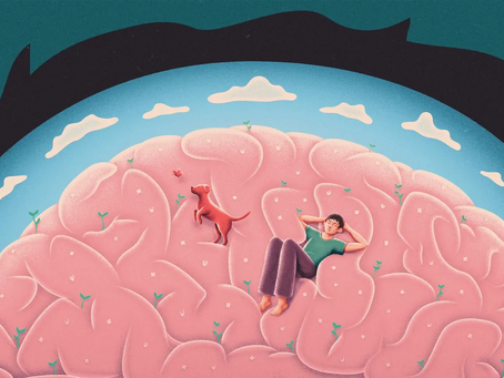 Our brain's Default Mode Network