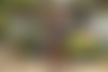 The Top 3 Food Myths | What the Fitness Industry Doesn't Want You To Know