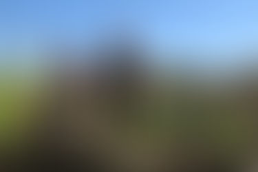 FINDING THAT SPECIAL SOMEONE | be like water