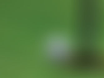 ゴルフのルール 2021.04.26