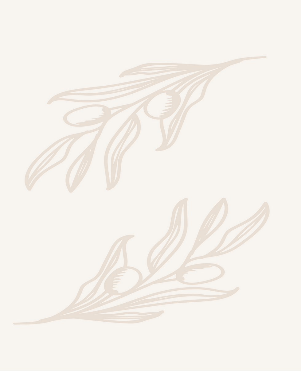 Olive Branch Background Linen.png